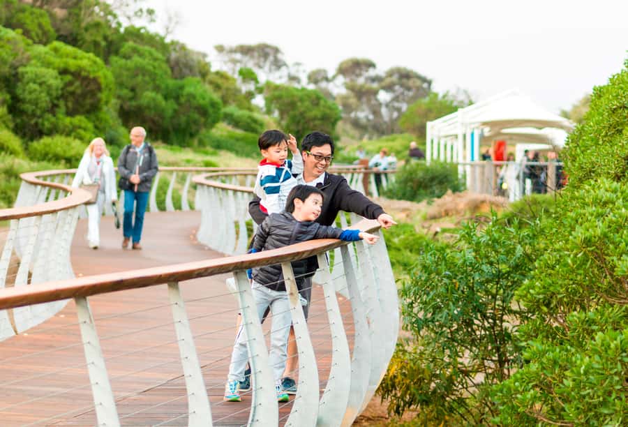 Penguin Parade: General Viewing Ticket - Watching the first penguins cross the beach
