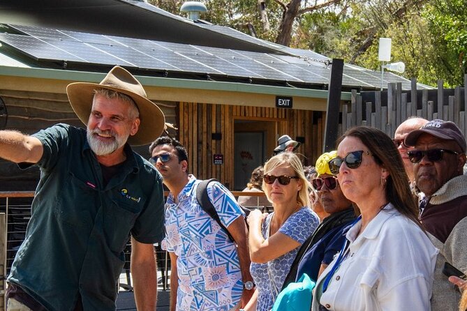 Penguin Parade, & Wildlife Encounters Eco Tour from Melbourne - The long ride back to Melbourne
