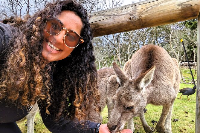 Penguin Parade, & Wildlife Encounters Eco Tour from Melbourne - What to pack and what to expect