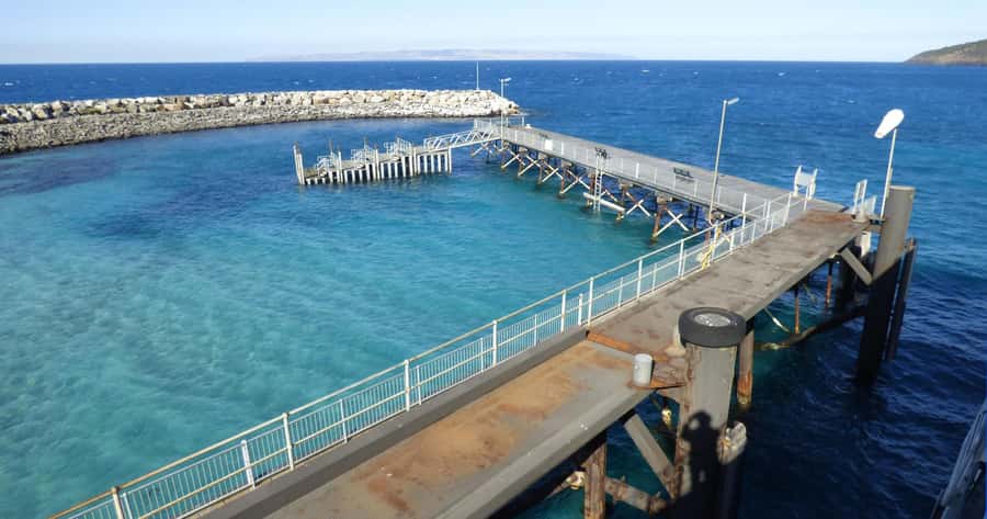 Penneshaw: Shore Excursion Kangaroo Island Scenic Tour - Lunch, comfort, and what to bring