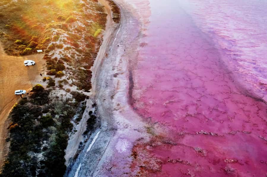 Perth: 4-Day Monkey Mia Pink Lake Coastal Loop Comfort Tour - What this four-day coastal loop does well