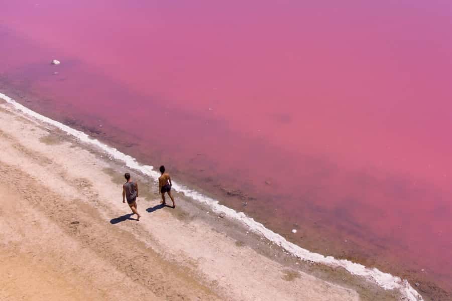 Perth: 4-Day Monkey Mia Pink Lake Coastal Loop Comfort Tour - Who should book this tour?