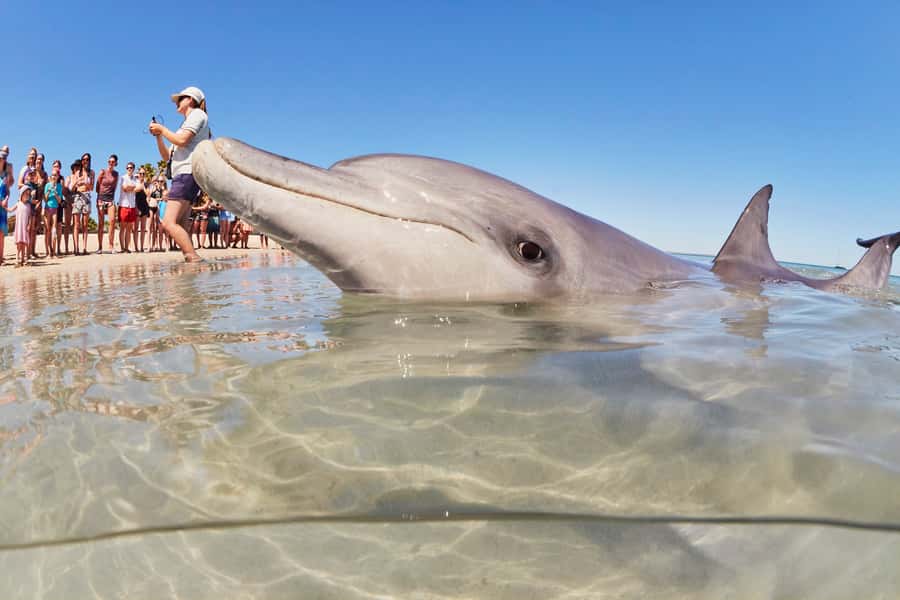 Perth: 7 Day Exmouth Explorer & Ningaloo Reef Return Perth - Food, accommodation and daily comfort