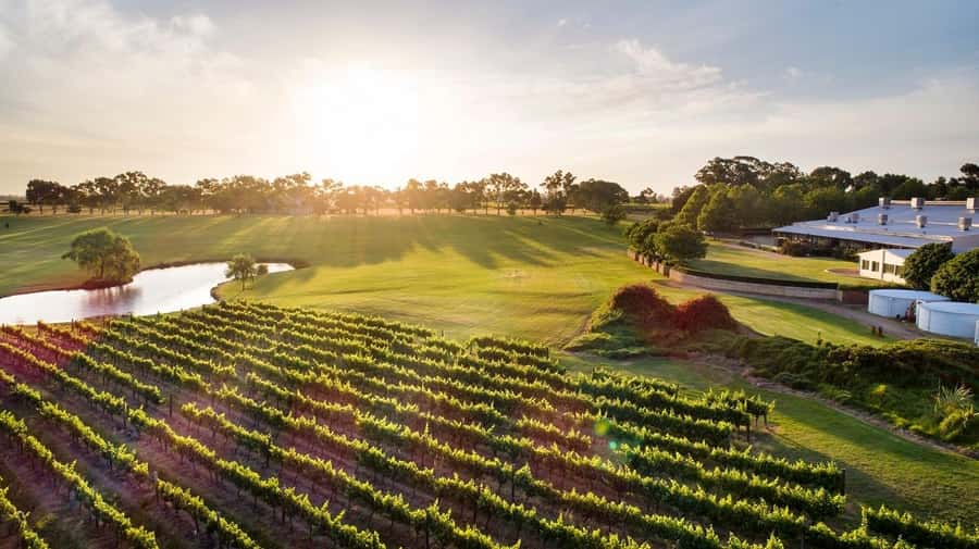 Perth: Full Day Swan Valley Cruise & Wine Tasting With Lunch - Starting at Captain Cook Cruises in Perth