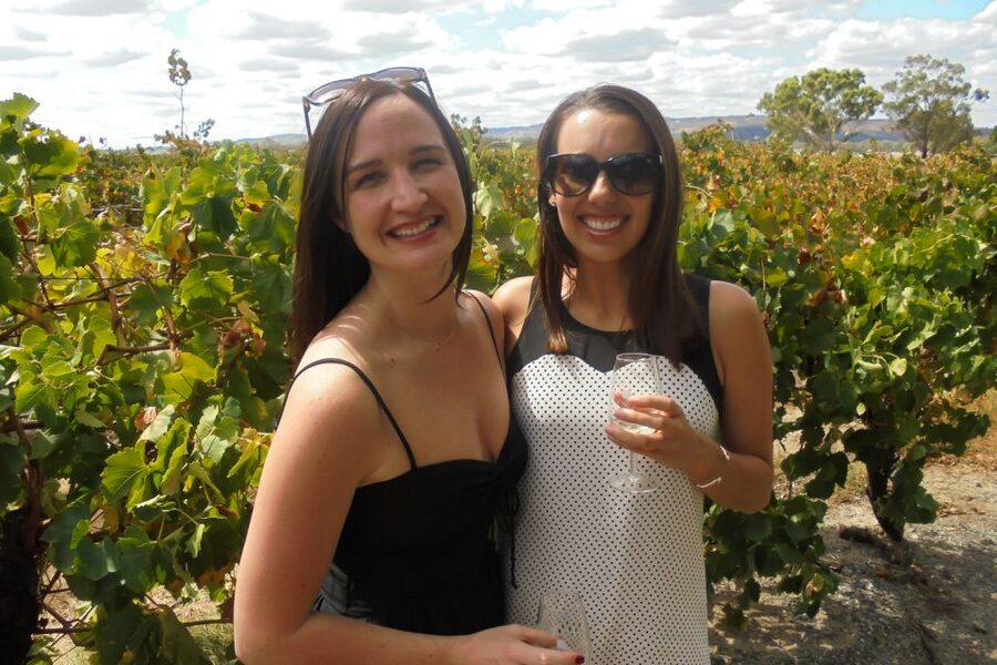 Perth: Full Day Swan Valley Cruise & Wine Tasting With Lunch - What the $140 price really covers