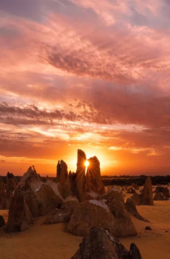 Perth: Pinnacles Desert Sunset & Stargazing with Dinner - Why this evening trip works