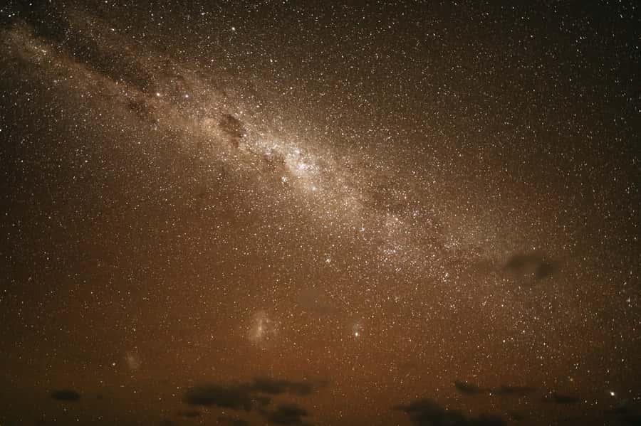 Perth: Pinnacles Desert Sunset & Stargazing with Dinner - Yanchep National Park and the first wildlife stop