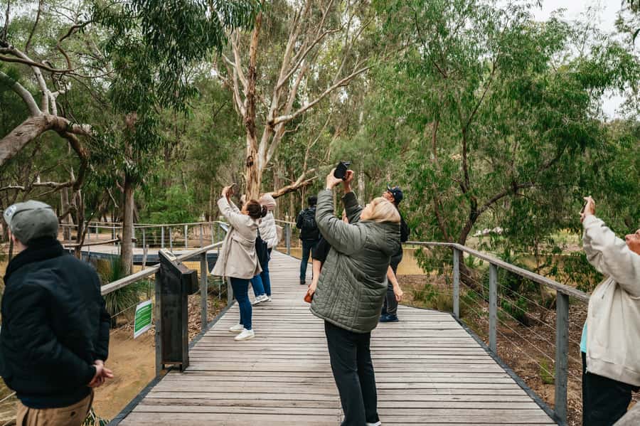 Perth: Pinnacles Desert Sunset & Stargazing with Dinner - Cervantes pub dinner and local flavor