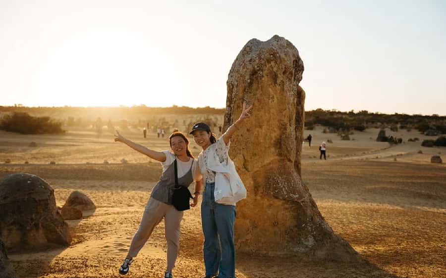 Perth: Pinnacles Desert Sunset & Stargazing with Dinner - Stargazing under a dark Western Australian sky