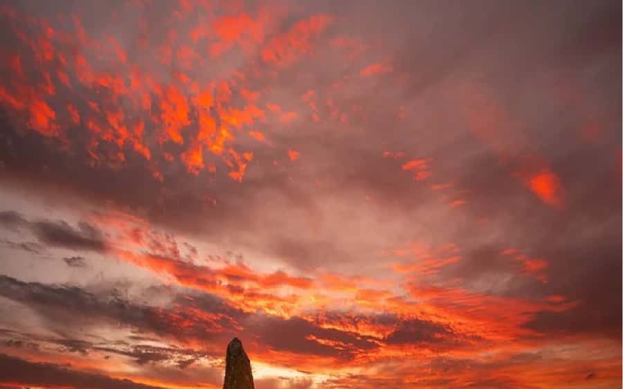 Perth: Pinnacles Desert Sunset & Stargazing with Dinner - The long ride north from Perth