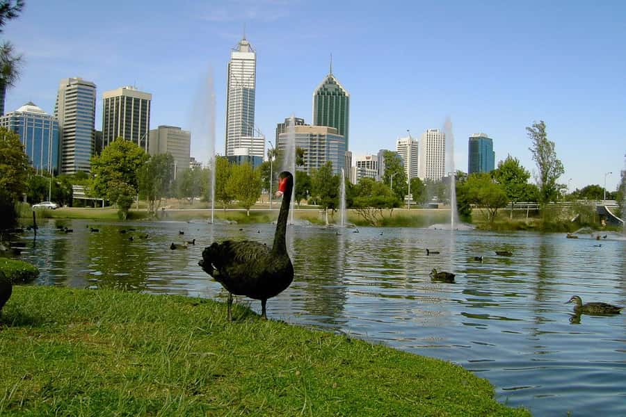 Perth Riverside Segway Tour - Cruising beside the Swan River