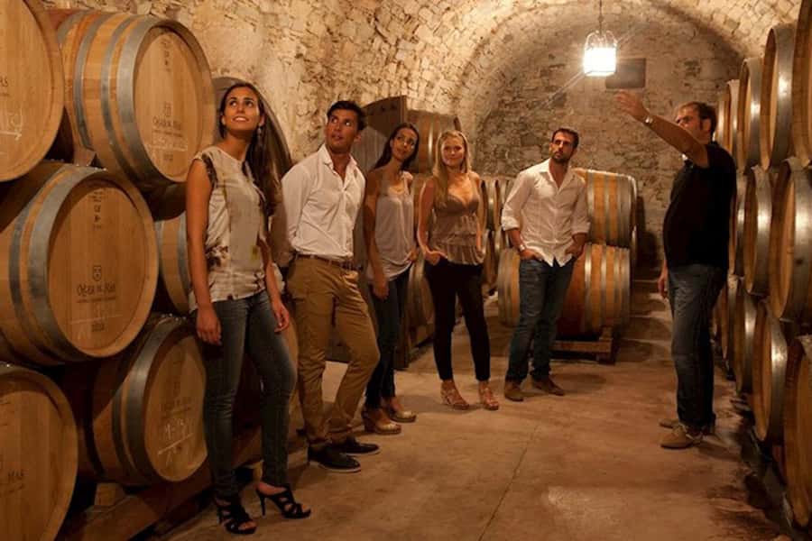 Perth VIP Swan Valley Wine Tour - Premium Small Group Tour - Two family-run wineries after lunch