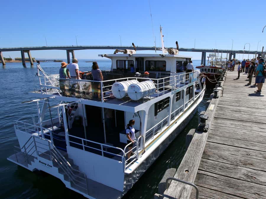 Philip Island: Dolphin and Whale Cruise - Setting Out Along Phillip Island’s Southern Coast