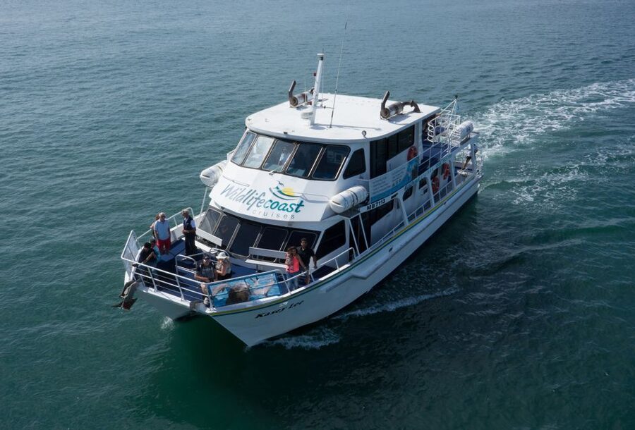 Philip Island: Dolphin and Whale Cruise - What Three Hours Feels Like at Sea