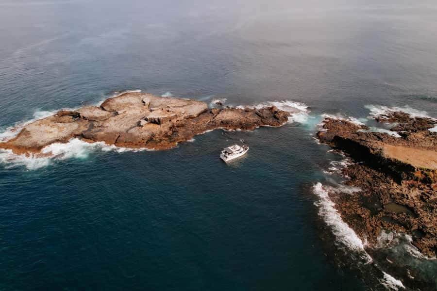 Philip Island: Seal Watching Cruise - Tea, cake, and the onboard setup