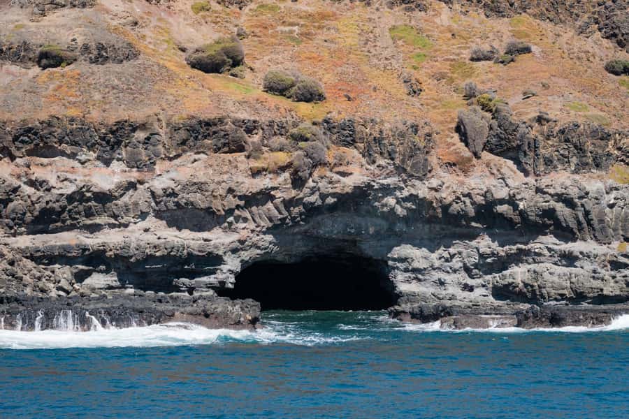 Philip Island: Seal Watching Cruise - Wildlife beyond the rocks