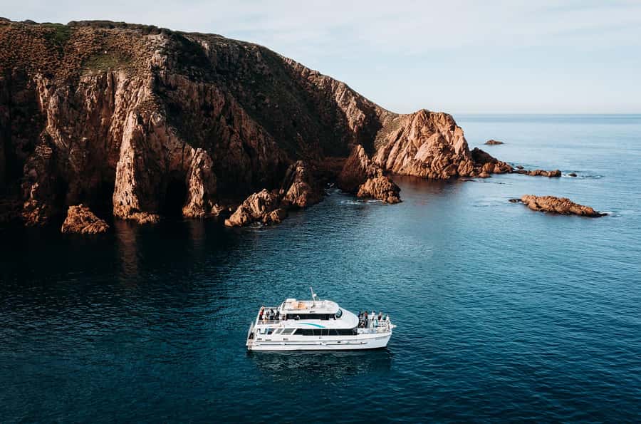 Phillip Island: 1-Hour Cape Woolamai Scenic Cruise - Birdlife, seals, dolphins, and lucky sightings