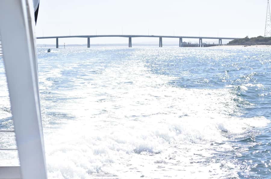 Phillip Island: 1-Hour Cape Woolamai Scenic Cruise - Seating, comfort, and family considerations