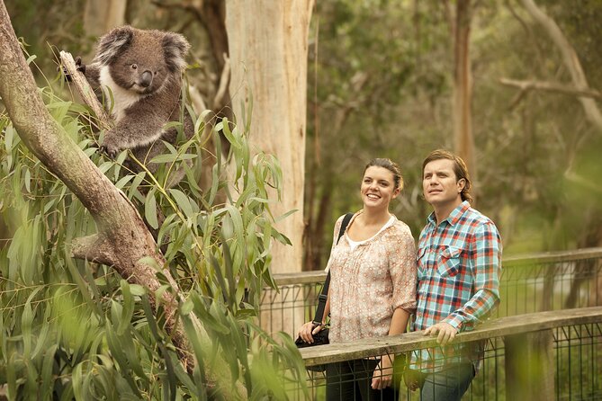 Phillip Island Day Trip from Melbourne with Penguin Plus Viewing Platform - Starting near the Immigration Museum