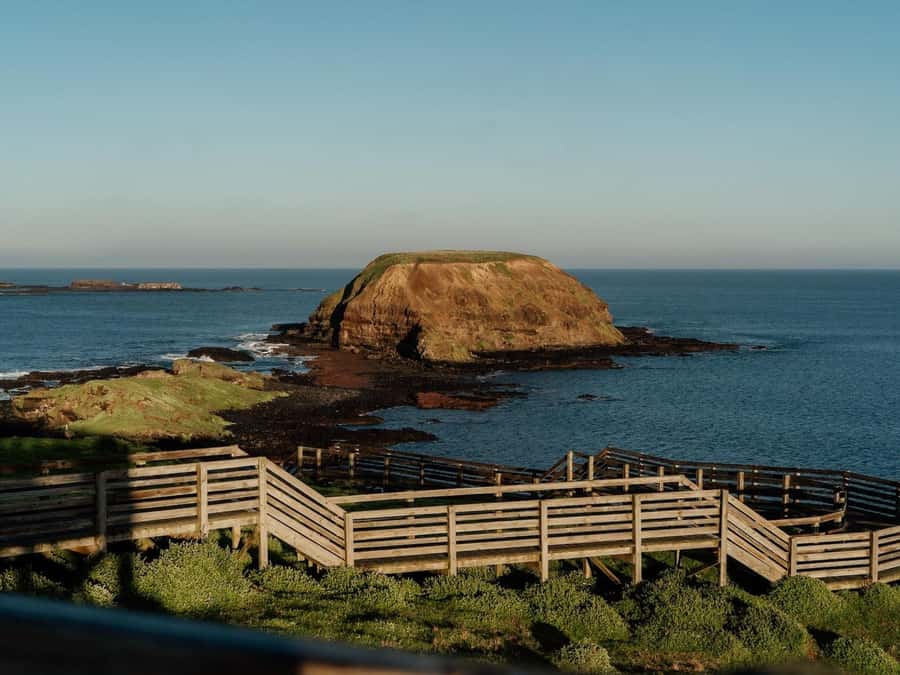 Phillip Island: Golden Hour Penguin Express Tour - Summerlands after sunset