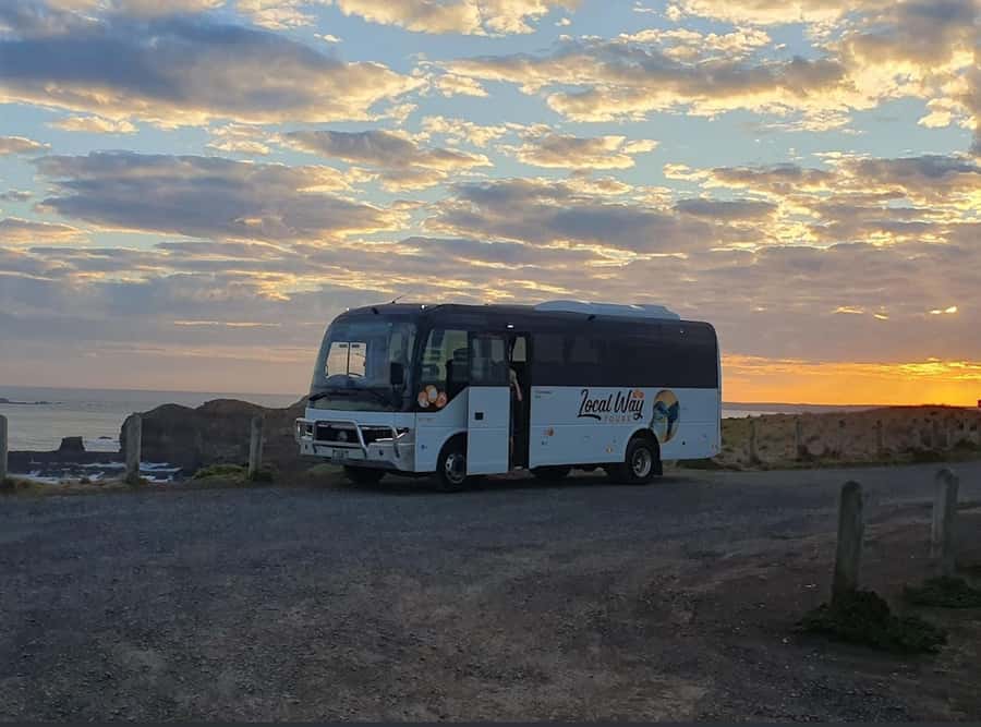Phillip Island: Golden Hour Penguin Express Tour - Who should book this experience?