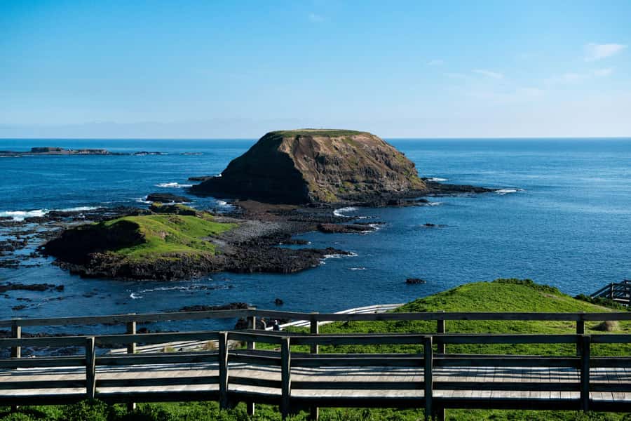 Phillip Island Penguin Direct Sunset Tour - The Nobbies and Bass Strait views