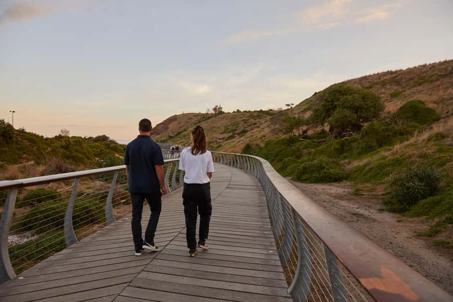 Phillip Island Penguin Direct Sunset Tour - Is $94 a fair price?