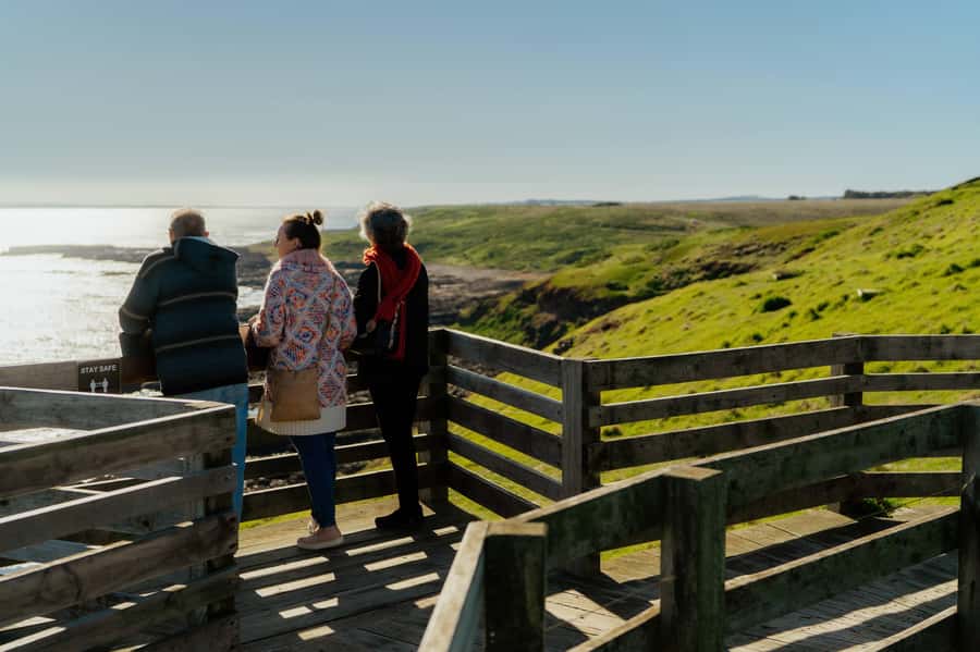 Phillip Island Penguin Direct Sunset Tour - Meeting your coach in central Melbourne