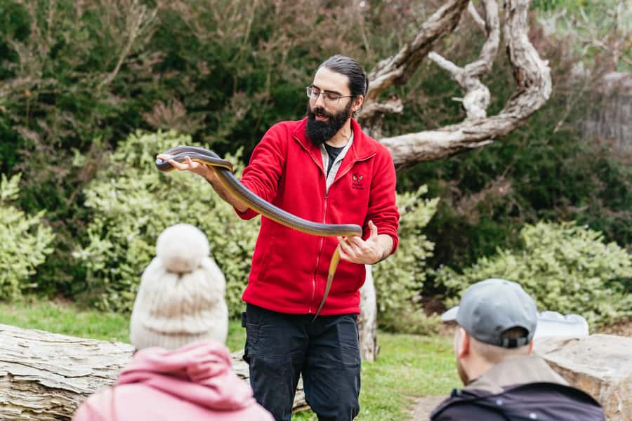 Phillip Island Penguin Parade with Expert Local Guide - What the guides add to the day