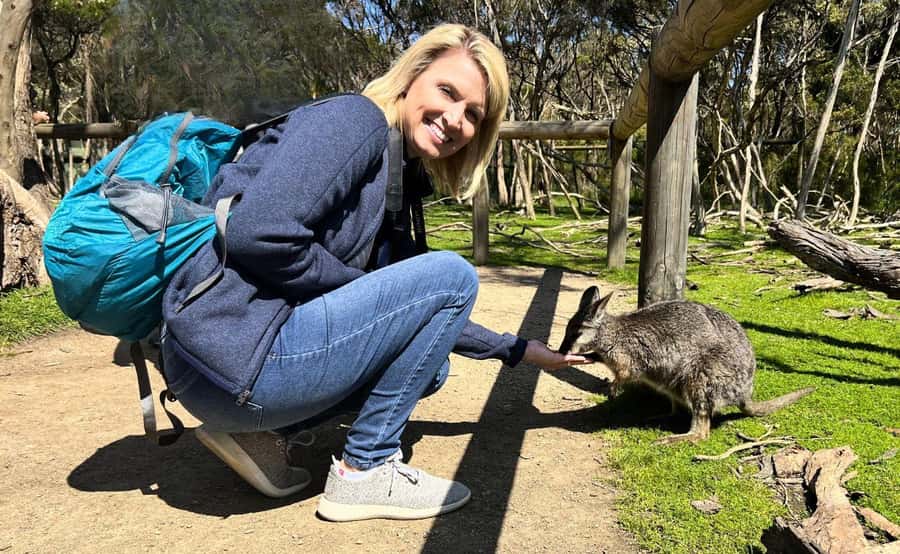 Phillip Island Penguin Parade with Expert Local Guide - Cape Woolamai and the changing seasonal plan