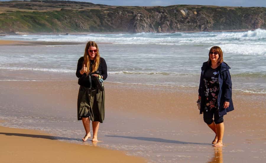 Phillip Island Penguin Parade with Expert Local Guide - The little penguin parade after sunset