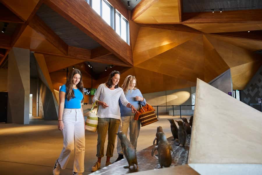 Phillip Island: Penguins and Wildlife Full-Day Tour - Is $109 good value?