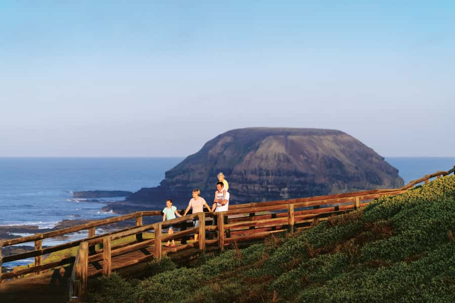 Phillip Island: Penguins and Wildlife Full-Day Tour - Koalas along the reserve boardwalks
