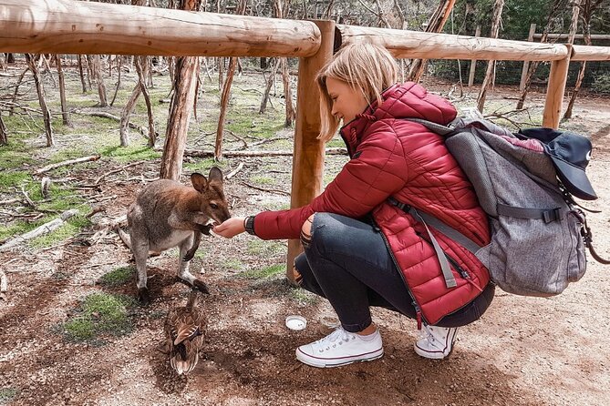 Phillip Island Penguins & Wildlife Day Tour from Melbourne - The ride south from Melbourne