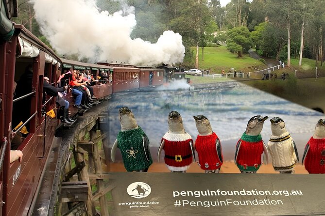 Phillip Island Penguins & Wildlife Day Tour from Melbourne - Cape Woolamai Beach during the summer season