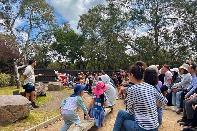 Phillip Island Penguins & Wildlife Day Tour from Melbourne - Meals, timing, and the late return