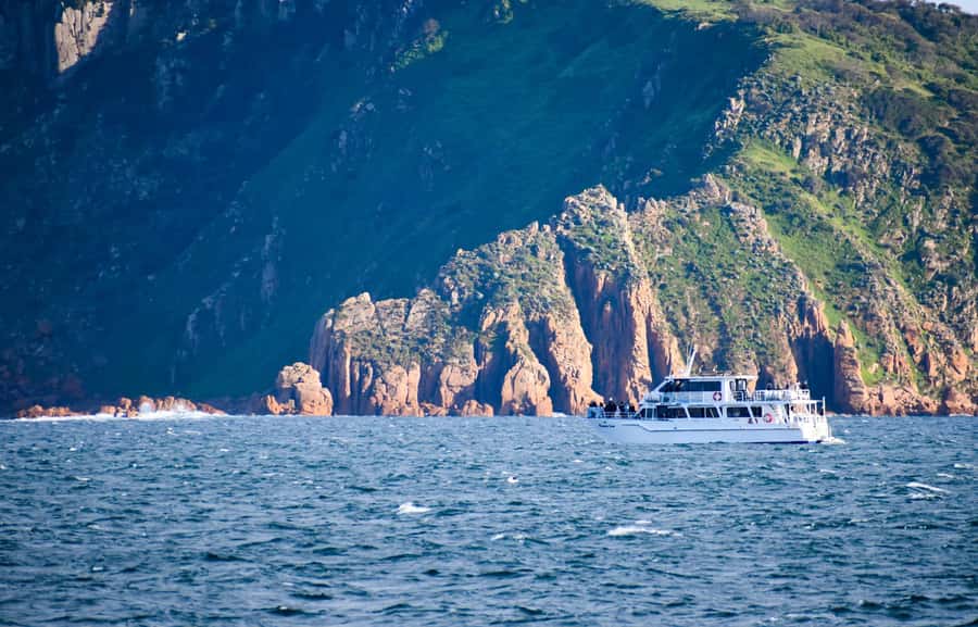 Phillip Island: Whale Watching Boat Tour - Dolphins, wake watching, and smaller surprises