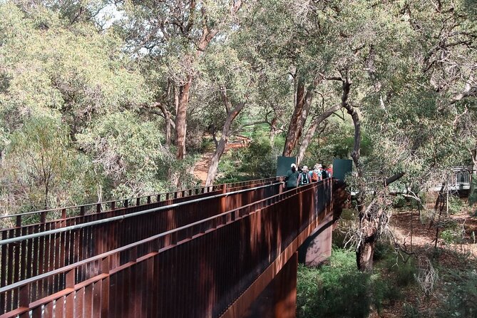 Pinnacles Desert, Koalas and Sandboarding 4WD Day Tour from Perth - Cervantes and the Lobster Shack lunch
