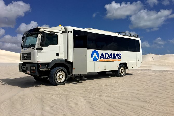 Pinnacles Desert, Koalas and Sandboarding 4WD Day Tour from Perth - The Pinnacles: the reason to keep your camera ready
