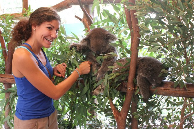 Pinnacles Desert, Koalas and Sandboarding 4WD Day Tour from Perth - What to pack for the 11.5-hour outing