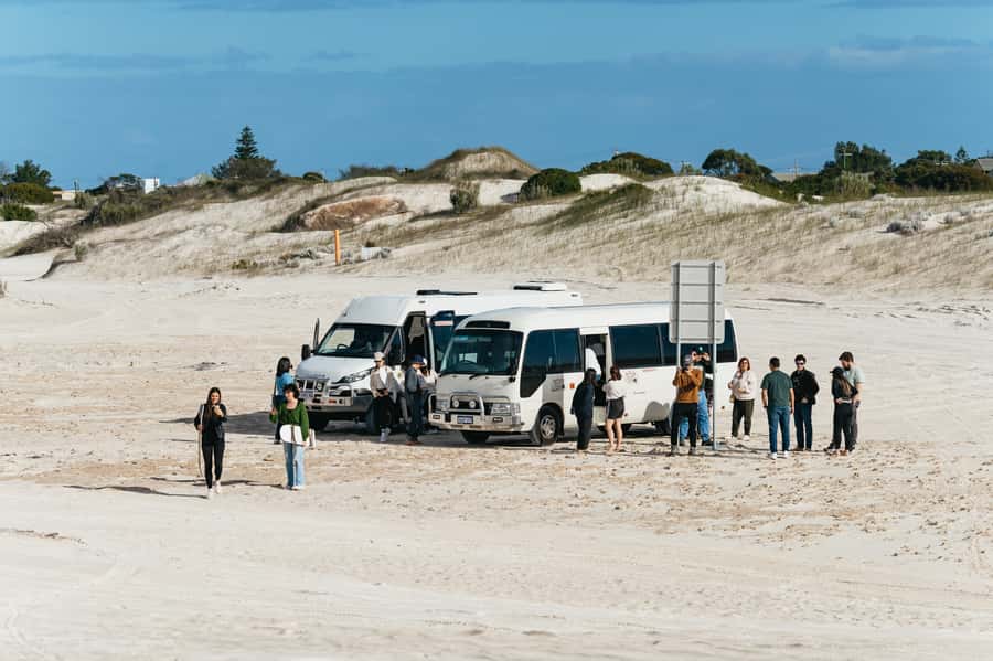 Pinnacles Desert: Sunset BBQ & Stargazing Tour +Sandboarding - Looking at the moon, Saturn and the southern sky