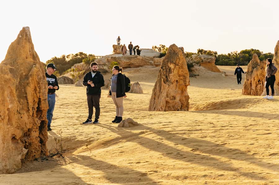 Pinnacles Desert: Sunset BBQ & Stargazing Tour +Sandboarding - What to bring and who should book