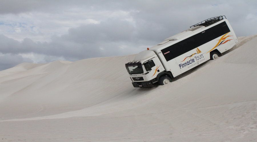 Pinnacles, Koalas, 4WD & Sandboarding Tour from Perth - Guides can shape the whole experience