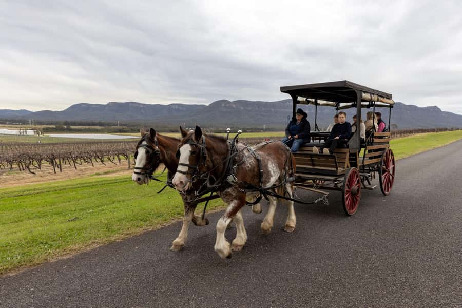 Pokolbin: Harvest the Hunter Horse Drawn Carriage Tour 3hrs - Key points to know before booking