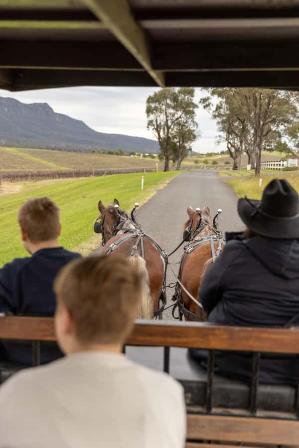 Pokolbin: Harvest the Hunter Horse Drawn Carriage Tour 3hrs - Why the carriage changes the Hunter Valley experience