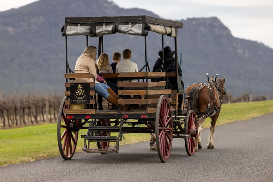 Pokolbin: Harvest the Hunter Horse Drawn Carriage Tour 3hrs - First winery stop: a relaxed introduction to Hunter Valley wine