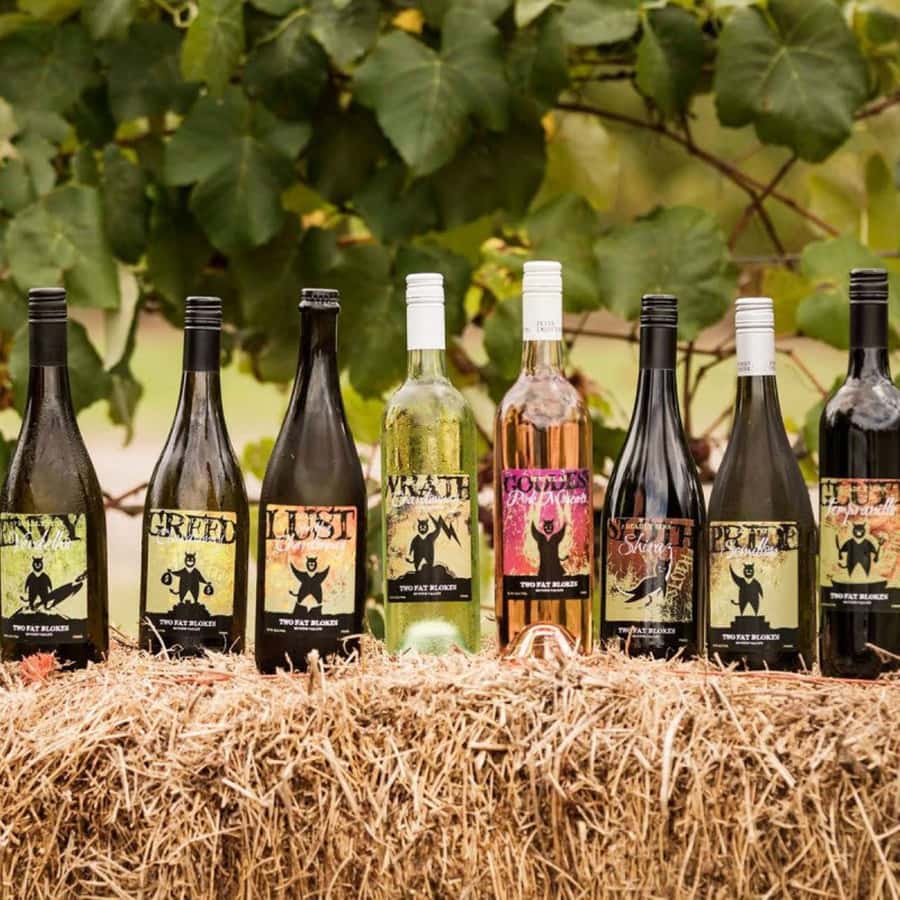 Pokolbin: Hunter Valley Half-Day Tour with Cheese and Wine - The morning begins with easy transport