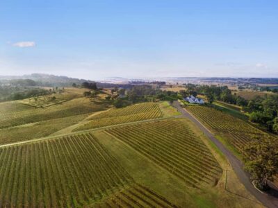 Picnic & Wine Tasting at Audrey Wilkinson Vineyard
