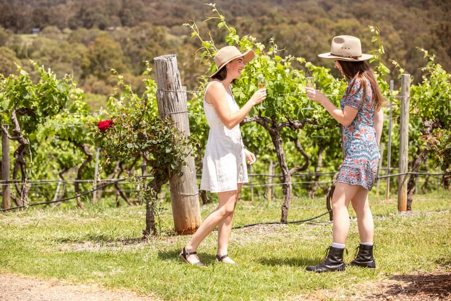Pokolbin: Picnic & Wine Tasting at Audrey Wilkinson Vineyard - Who Will Enjoy This Experience Most?