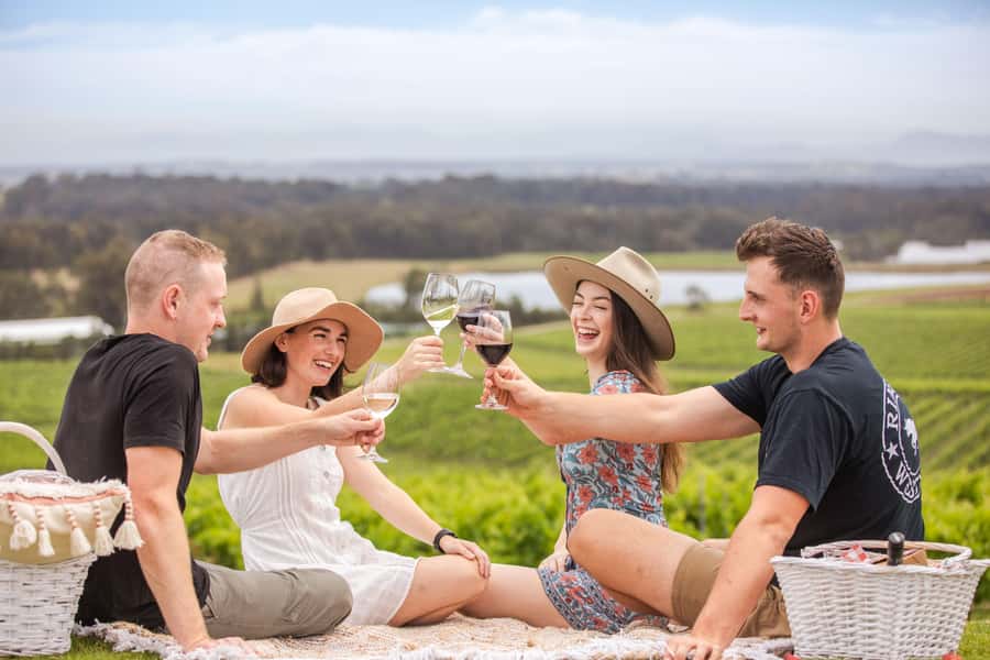 Pokolbin: Picnic & Wine Tasting at Audrey Wilkinson Vineyard - Practical Details Before You Book